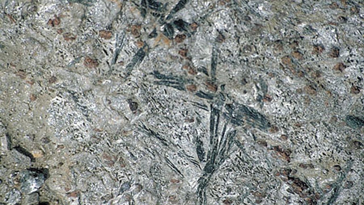 Basische Metamorphite (Aufschluß )